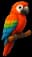 TripMemo parrot logo