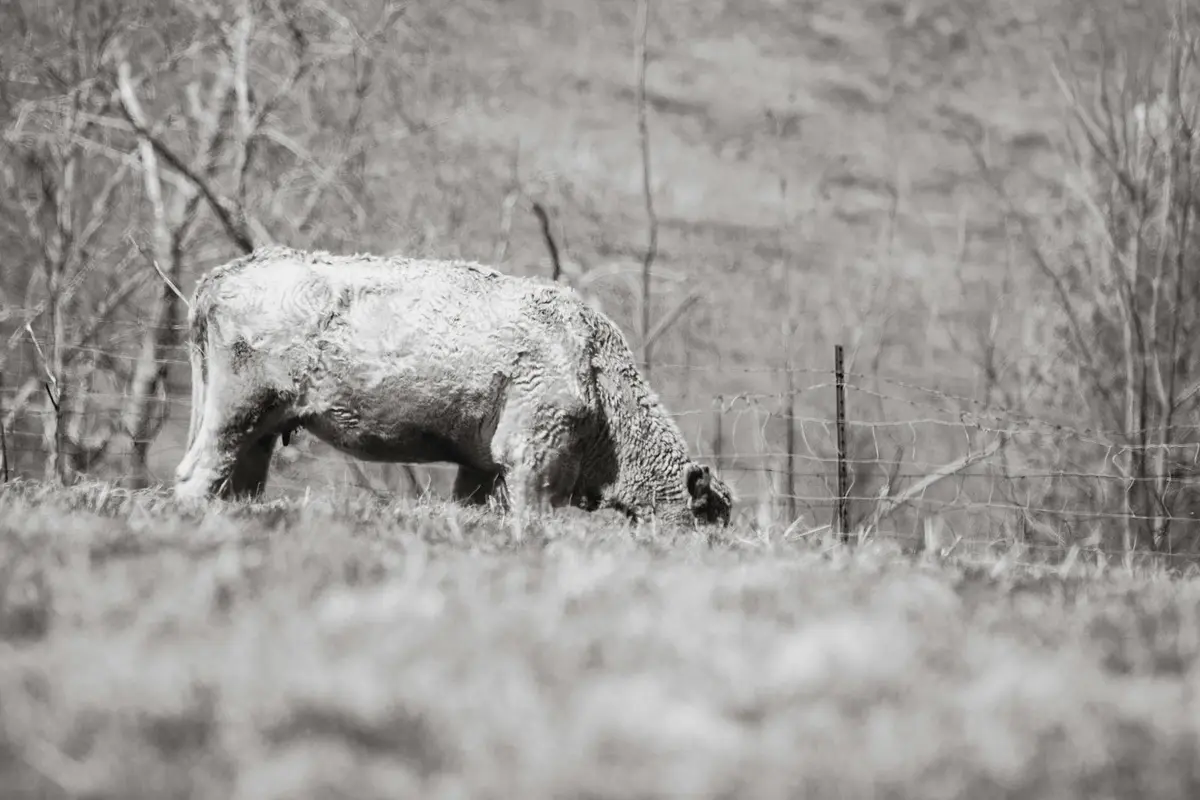Crystal clear waters of Albanian Riviera - budget Mediterranean beach 2026