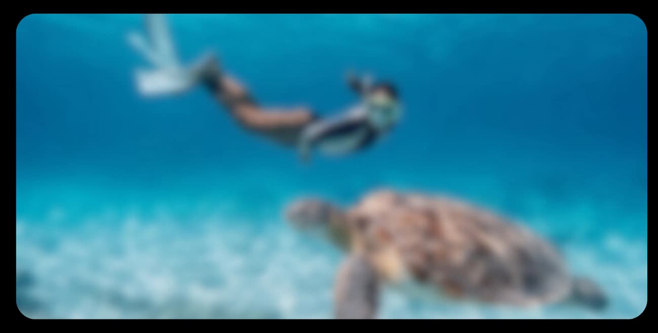 Underwater scuba diving scene